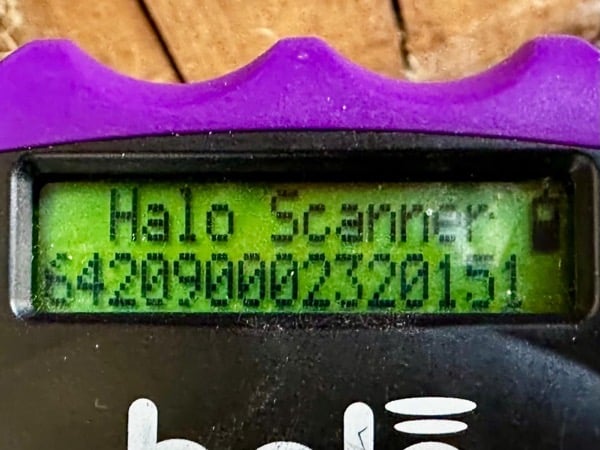 FERDINAND (♂) – Bild 5