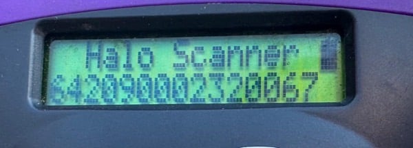 RUBIA (♀) – Bild 12