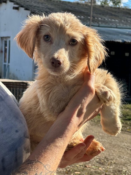 H3SKGY (♀) – Bild 5