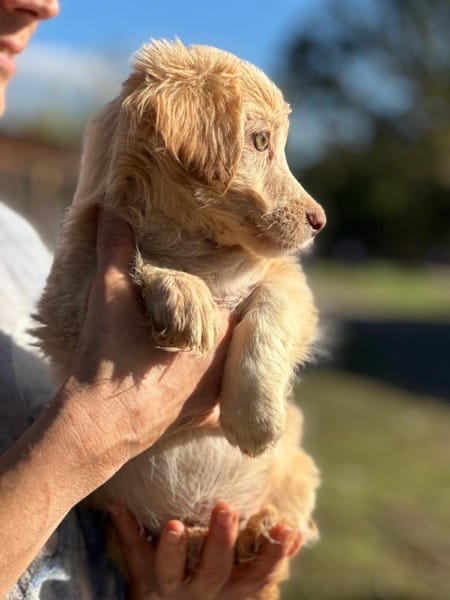 H3SKGY (♀) – Bild 2