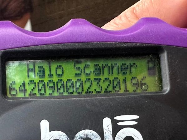 SILINA (♀) – Bild 6