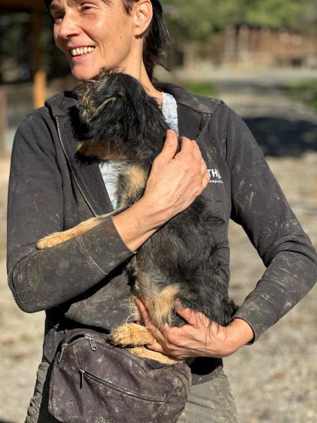 H1JPLK449 (♀) – Bild 6