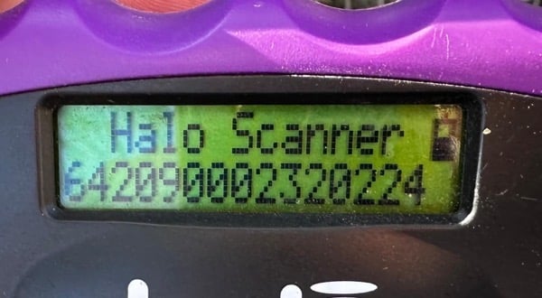 MAGOSCHA (♀) – Bild 3