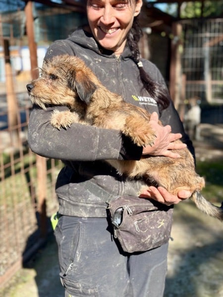 NICKY (♀) – Bild 2