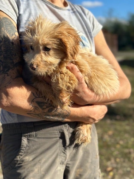 R2SKGY (♂) – Bild 4