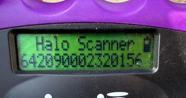 SIDNEY (♂) - Seelischer Notfall - kommt nicht gut zurecht im Shelter- sollte zeitnah reisen! - reist auf PDR PS im PLZ Bereich 55 (SD 26/10) – Bild 7