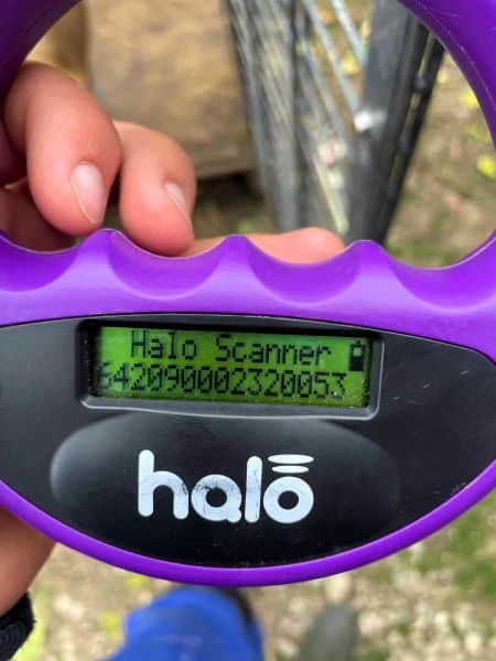 FRIEDL (♂) - Notfall - Angstschnapper - Mobbingopfer - muss schnell raus, um zu überleben! – Bild 8