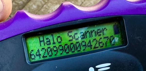 MORLA (♀) – Bild 6