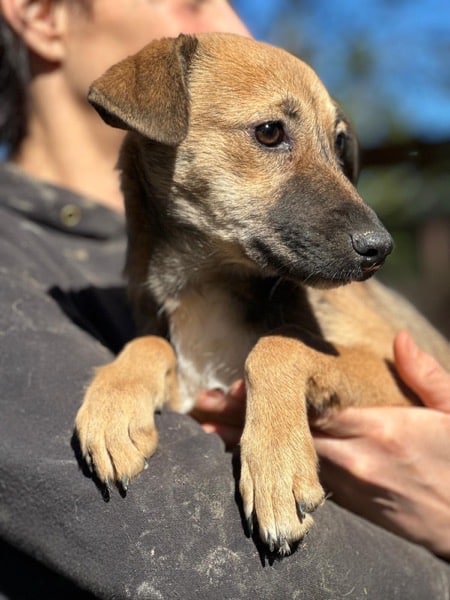 H7CCM4 (♀) – Bild 9