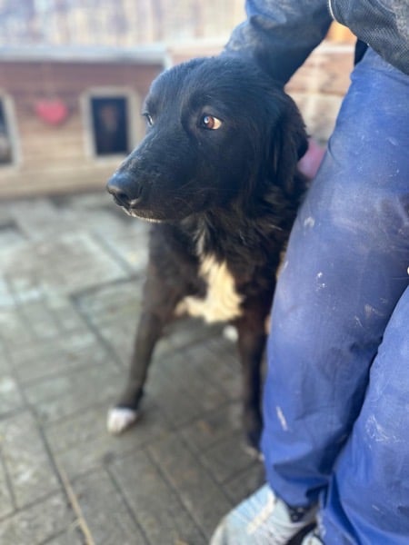 MORLA (♀) – Bild 3