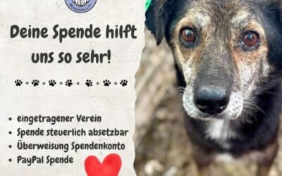 Klasse 6a sammelt 85 Euro für PDR – Wir sagen Danke! ❤️