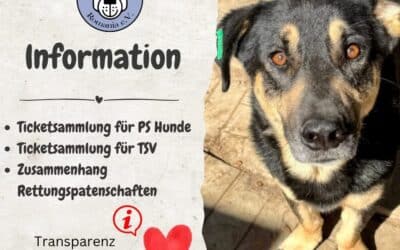 🙂📯 Eure Fragen – Wir antworten! 📯🙂