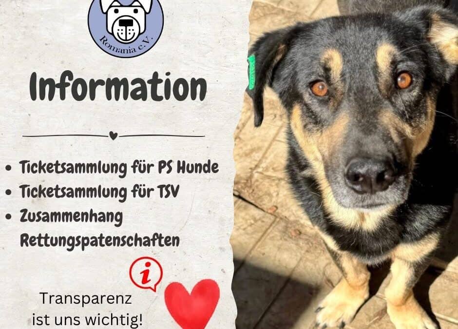 🙂📯 Eure Fragen – Wir antworten! 📯🙂