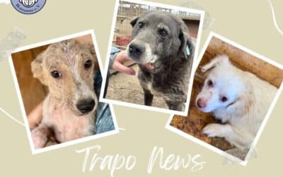 Glückstransport am 17.10. 💚🚐