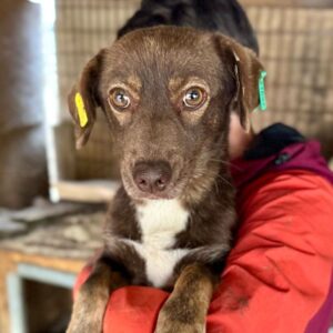 KUNI (♀) - RBB 10/25