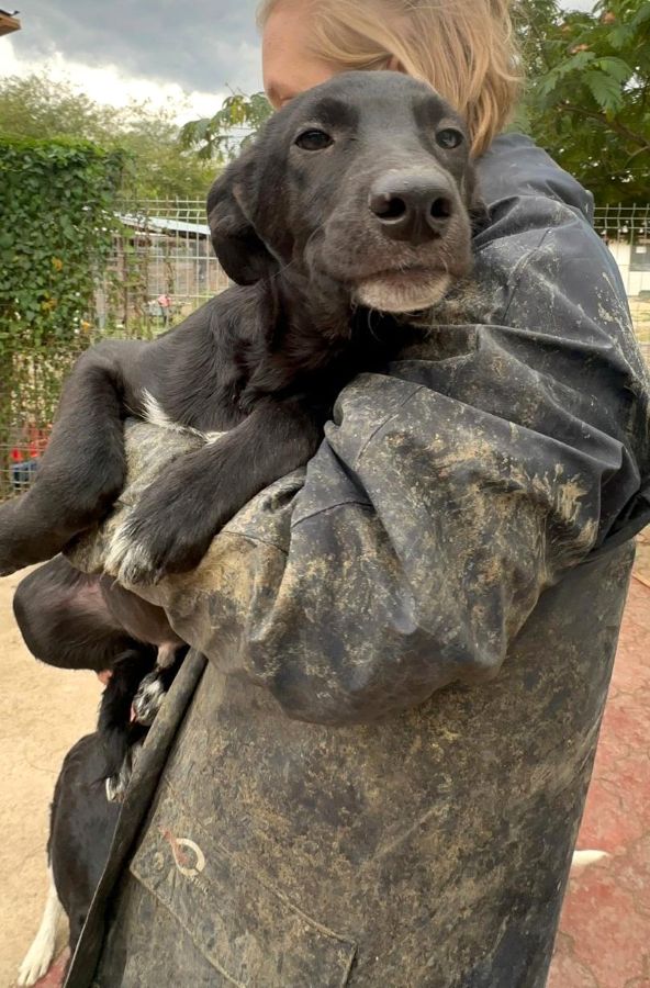 TAFITI (♂) – Bild 6