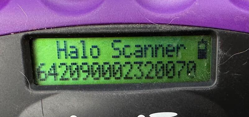 ERNESTO (♂) – Bild 9