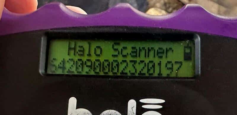 R2EPLK43 (♂) – Bild 9