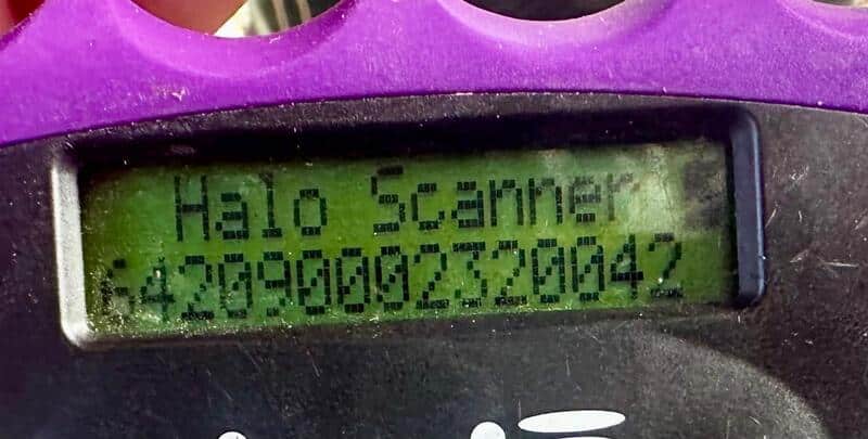 H1EPLK451 (♀) – Bild 7