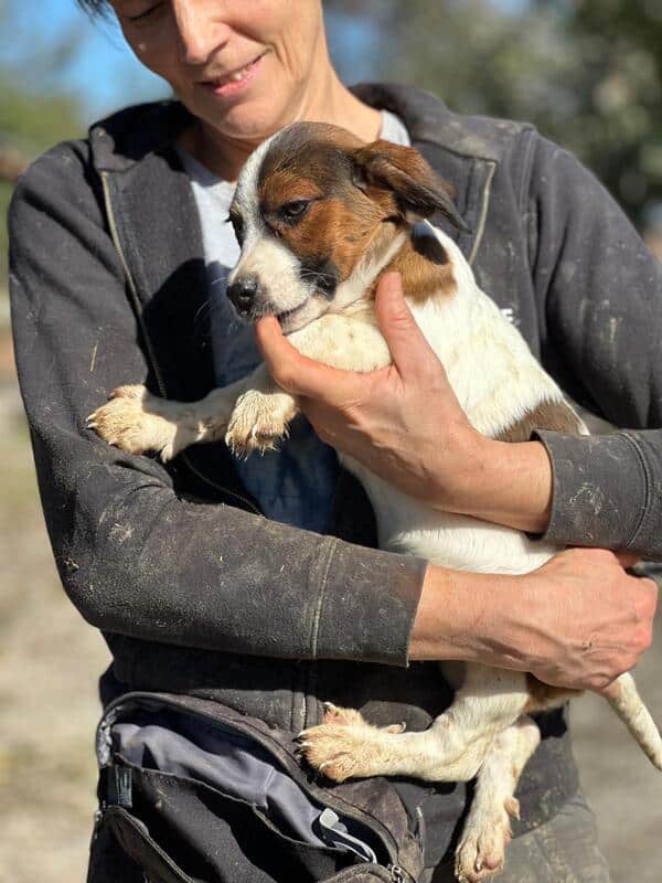 H2EPLK449 (♀) – Bild 3