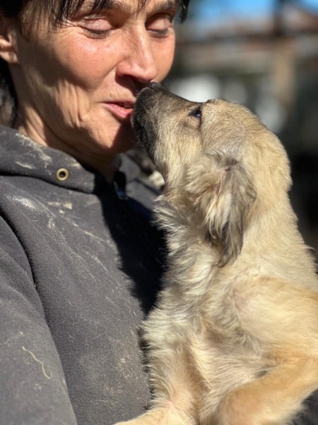 H6CCM4 (♀) – Bild 5