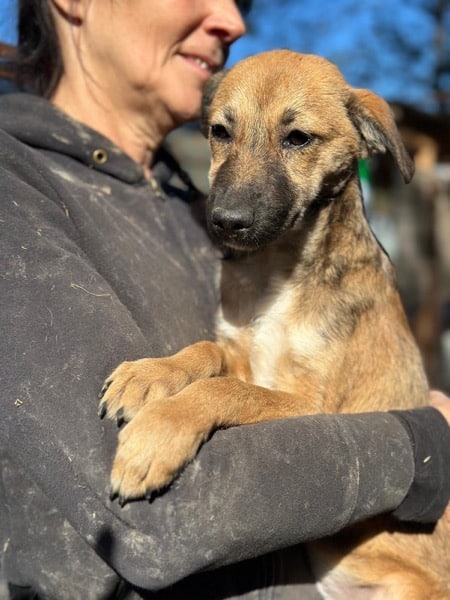 H7CCM4 (♀) – Bild 11