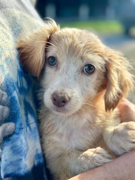 H3SKGY (♀) – Bild 7