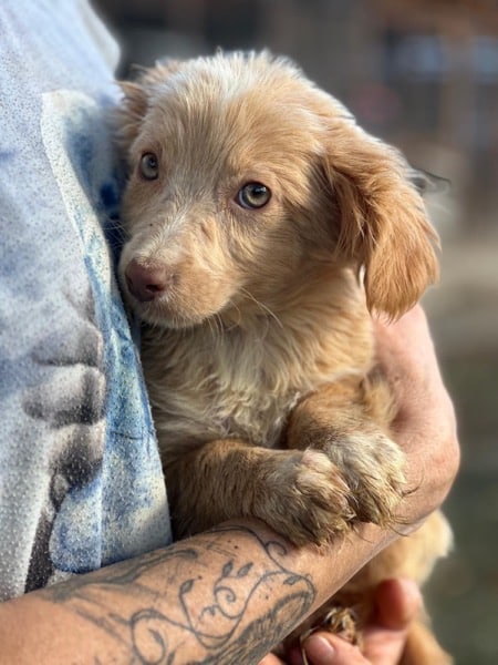 R3SKGY (♂) – Bild 3