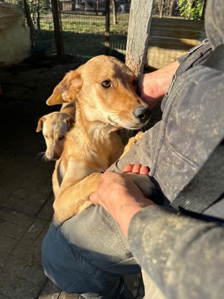 RUBIA (♀) – Bild 9