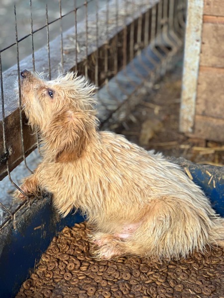 R2SKGY (♂) – Bild 6