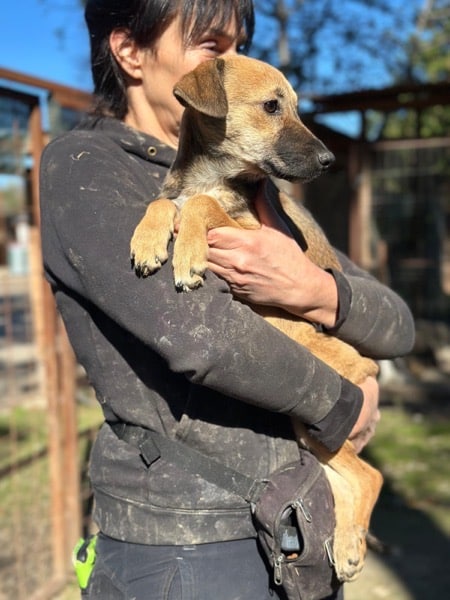 H7CCM4 (♀) – Bild 8