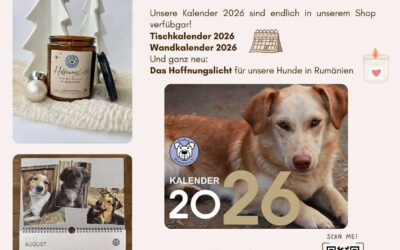 PDR-Kalender für 2026: Es geht los! 📅🐶