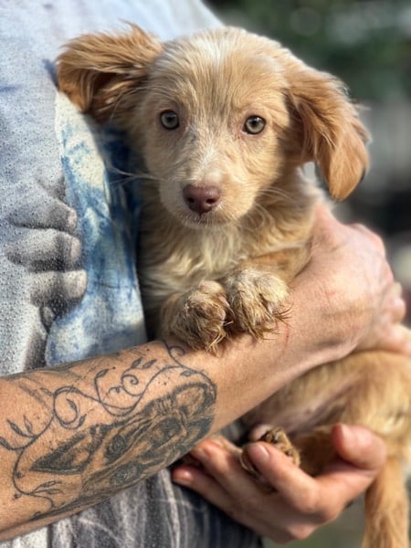 R3SKGY (♂) – Bild 5