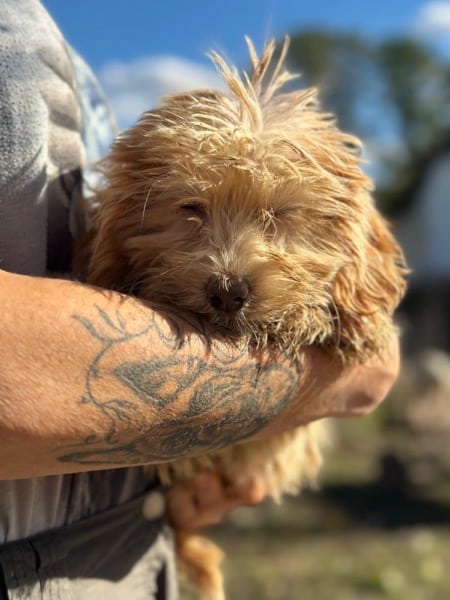 H1SKGY (♀) – Bild 3