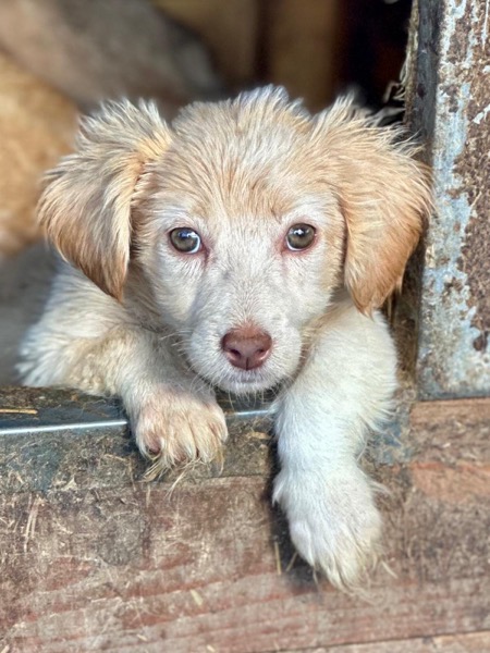 H3SKGY (♀) – Bild 3