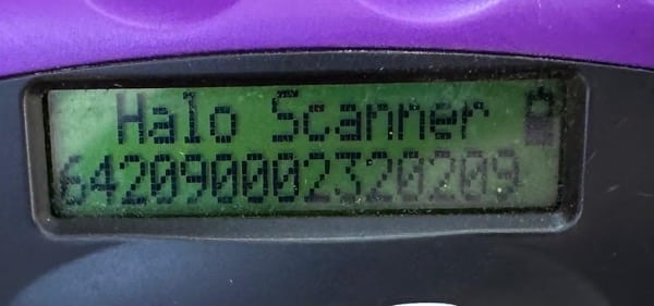 NICKY (♀) – Bild 6