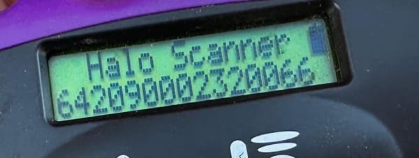 PHÖNIX (♂) – Bild 8