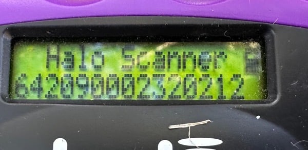 H8CCM4 (♀) – Bild 6