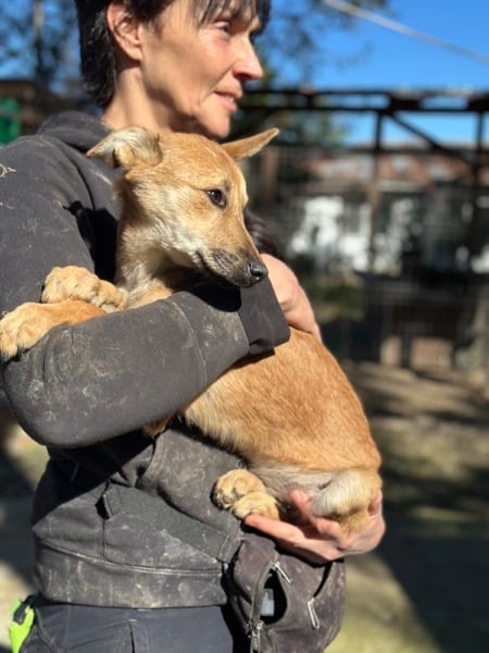 H4CCM4 (♀) – Bild 2