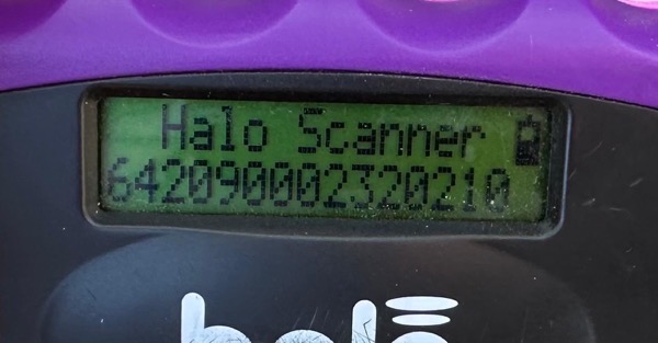 H6CCM4 (♀) – Bild 6