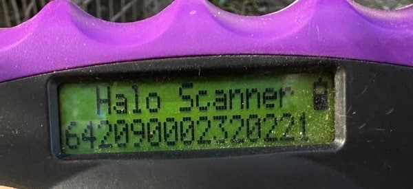 H4CCM4 (♀) – Bild 7