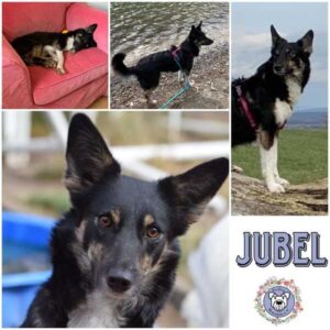 JUBEL (♀) in 22397 Hamburg