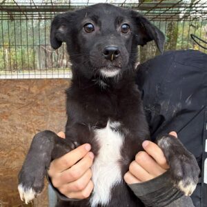 H8PLCCM2 - beginnende Hautprobleme, wird unsicher, sollte zeitnah reisen (♀)