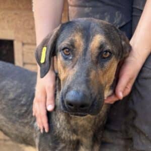 H2PLK367 (♀) - zu dünn, kommt nicht gut zurecht (11/25)