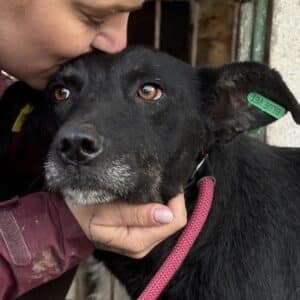 H15PLKVETA (♀) - viel zu dünn (11/25)