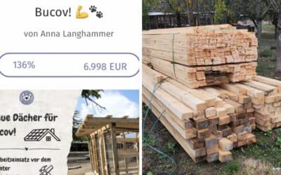 💛 Ein riesengroßes DANKESCHÖN an alle Spenderinnen und Spender! 💛