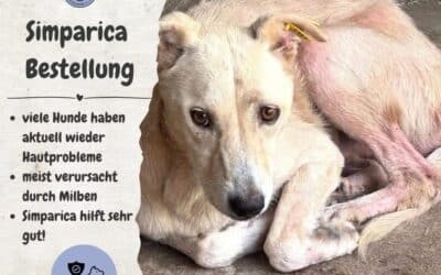 Der Kampf gegen Milben, Flöhe & Zecken – Jetzt mithelfen!