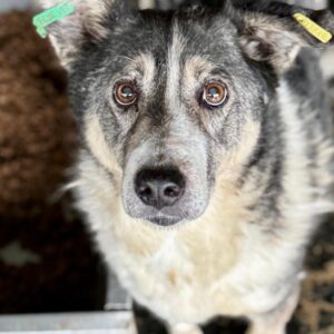 PAULA (♀) - NOTFALL