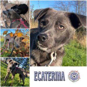 ECATERINA (♀) in 32791 Lage