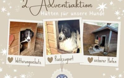 Unsere 2. Adventsaktion ist online! 🕯️🕯️
